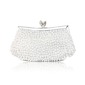 Elegant Silk with Pearls Evening Handbag/Clutches (012012258)