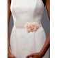 Sashes (015012852) Sashes (015012852)