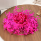 Women's Vintage Faux Feather Flower Mesh Wedding Kentucky Derby Fascinators With Clip 
