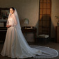 Simple Lace Edge Two Tier Bridal Cathedral Length 118" Wedding Veils With Blusher 